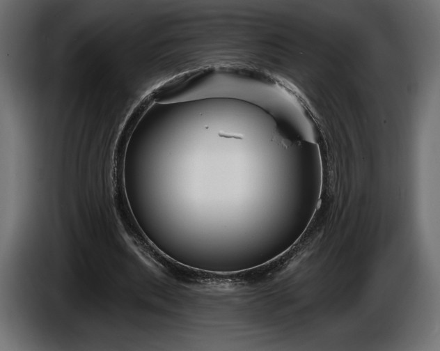 X0000086300439200704131613