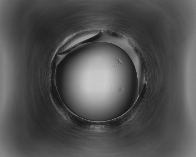 X0000086300440200704131613