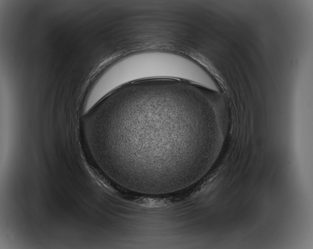 X0000086300442200704131613