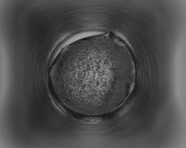 X0000086300443200704131613