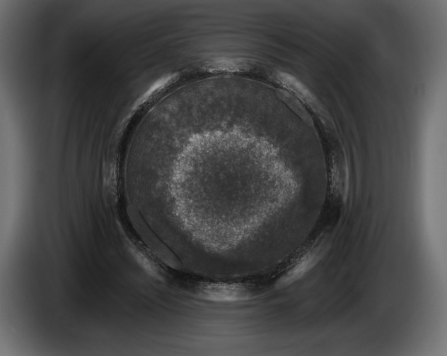 X0000086300444200704131613