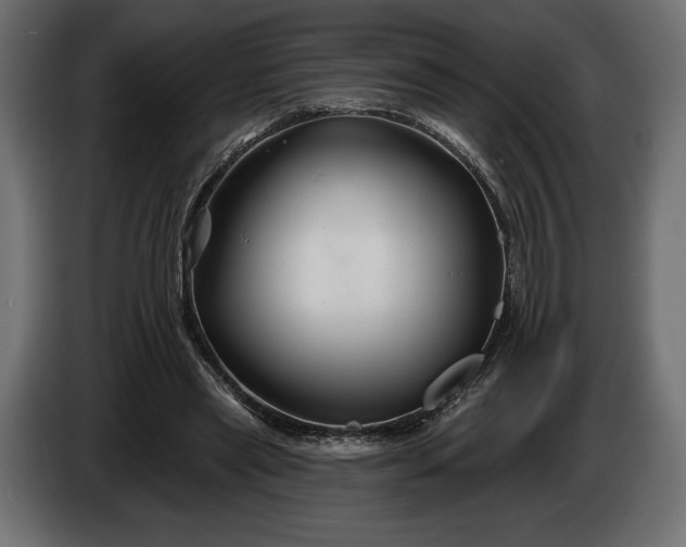 X0000086300445200704131613