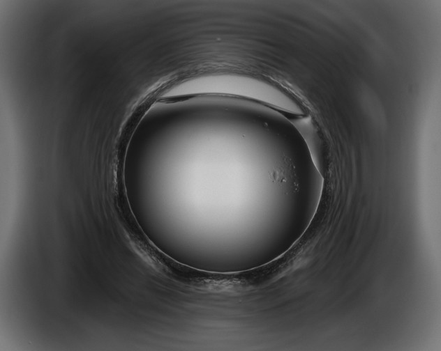 X0000086300446200704131613