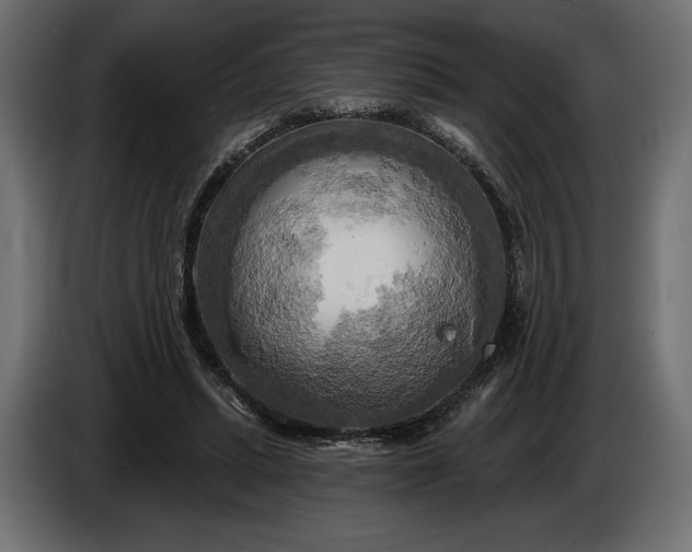 X0000086300447200704131613