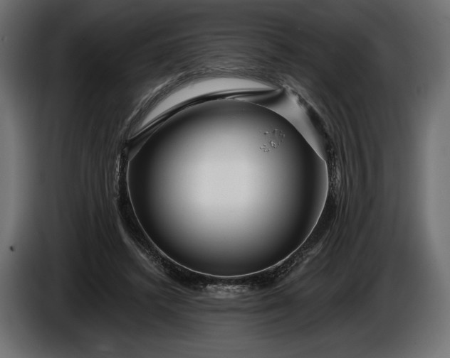 X0000086300448200704131613