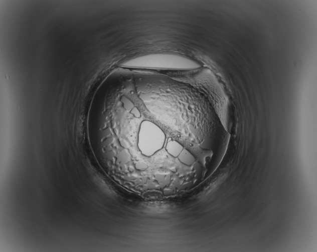 X0000086300449200704131613