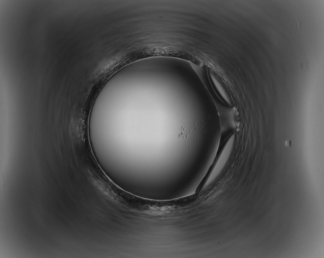 X0000086300450200704131613