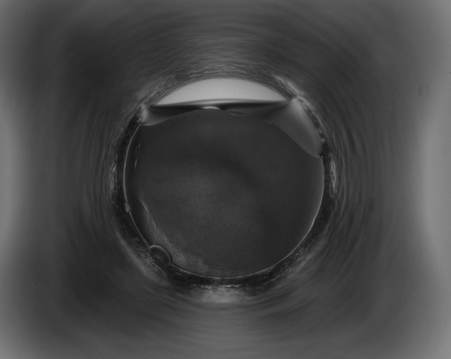 X0000086300451200704131613