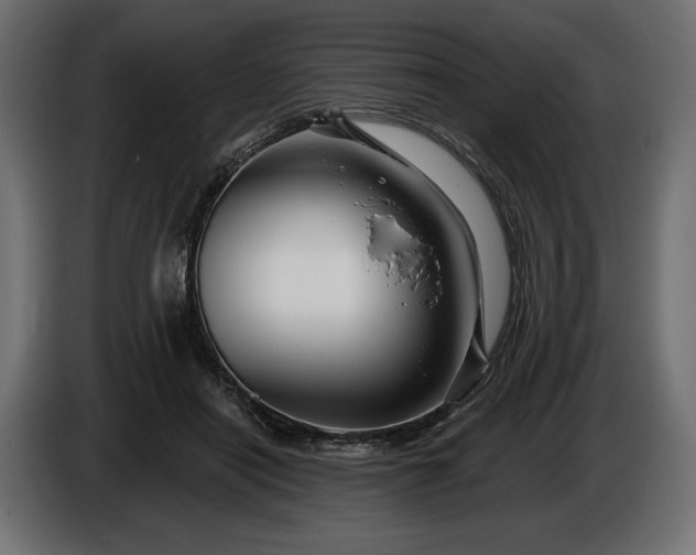 X0000086300454200704131613