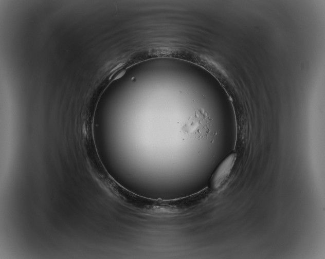 X0000086300455200704131613