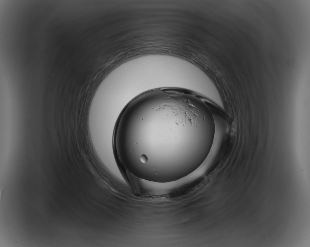 X0000086300456200704131613