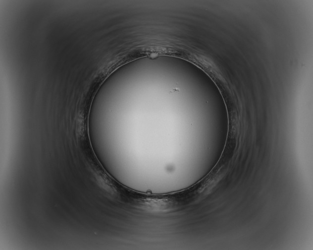 X0000086300457200704131613