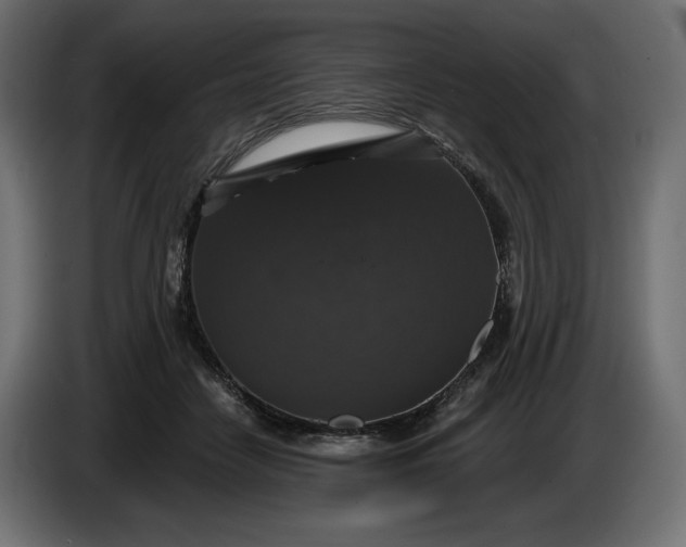 X0000086300458200704131613