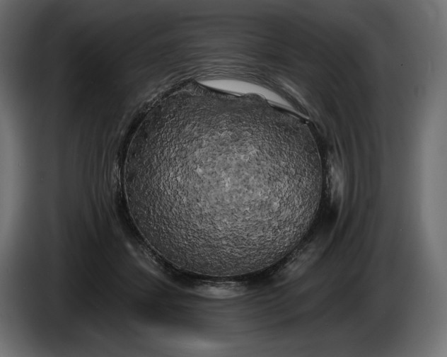 X0000086300459200704131613