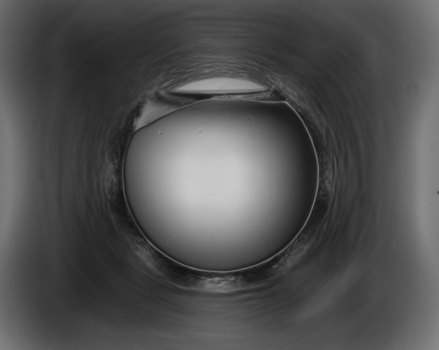 X0000086300461200704131613