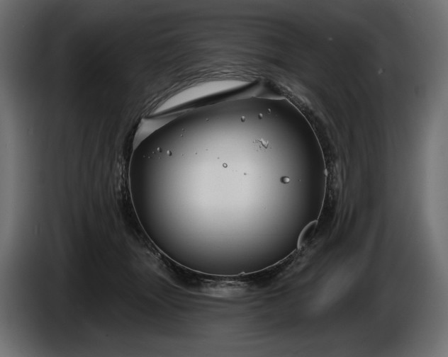 X0000086300463200704131613