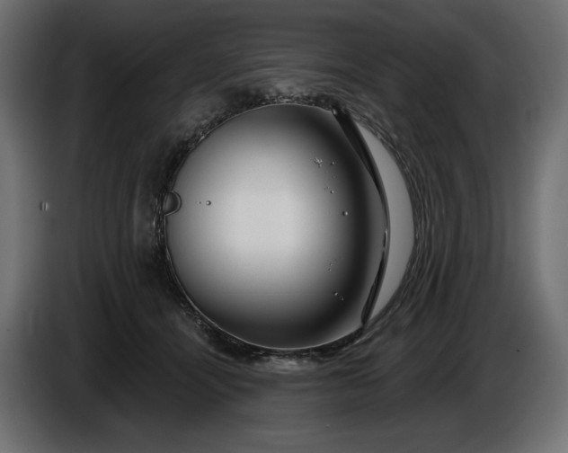 X0000086300464200704131613