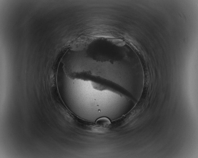 X0000086300465200704131613