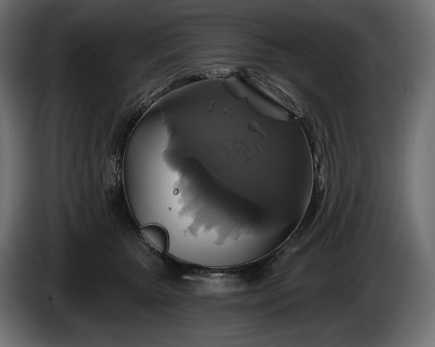 X0000086300467200704131613