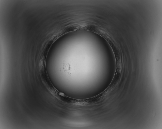 X0000086300468200704131613