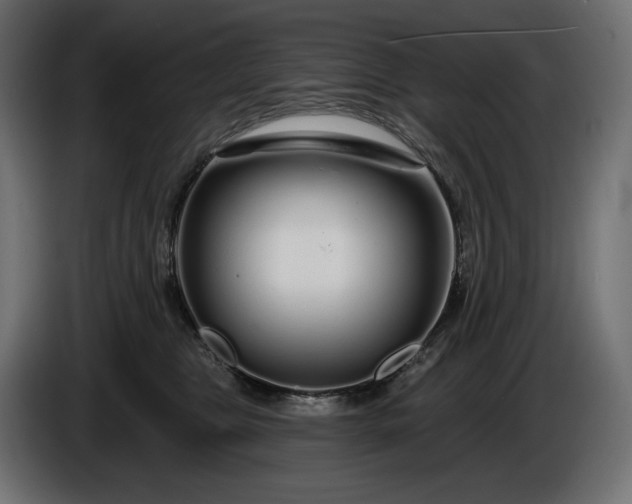 X0000086300469200704131613