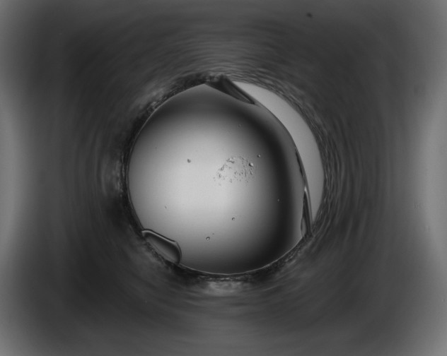 X0000086300470200704131613