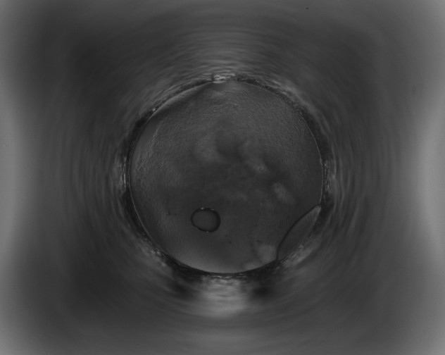 X0000086300471200704131613