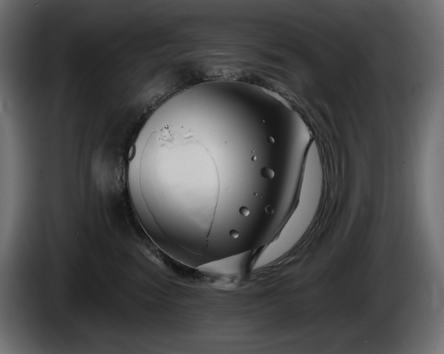 X0000086300474200704131613