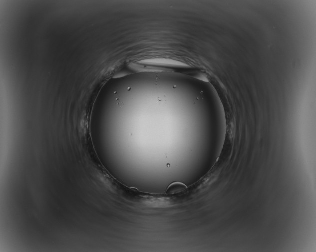 X0000086300476200704131613