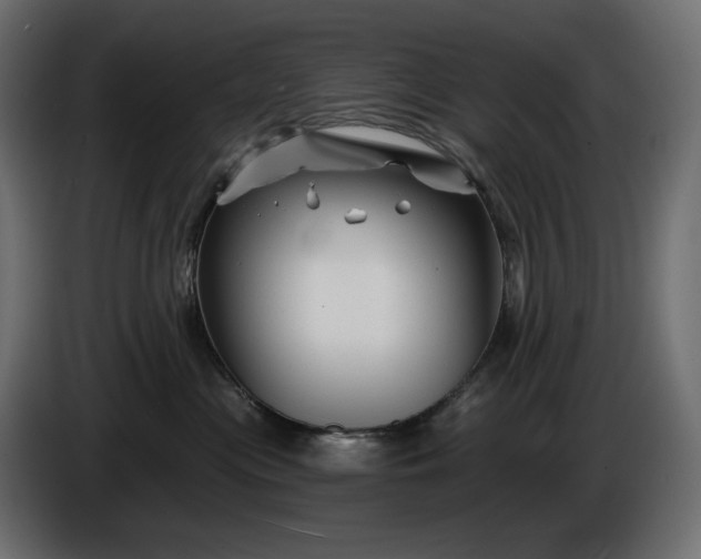 X0000086300477200704131613