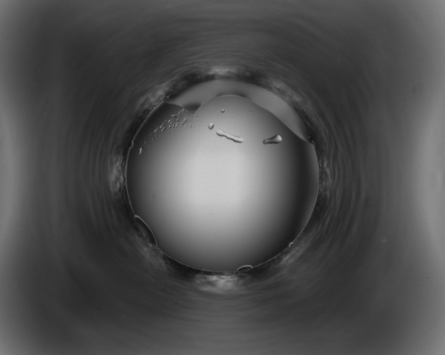 X0000086300478200704131613