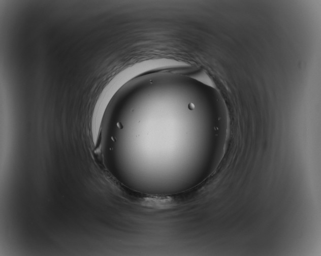 X0000086300480200704131613