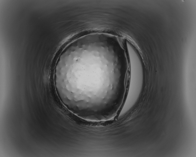 X0000086300483200704131613