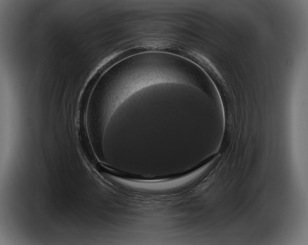 X0000086300484200704131613