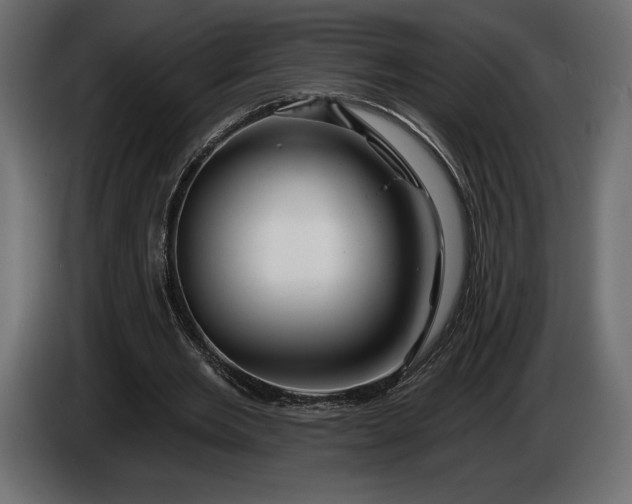 X0000086300485200704131613