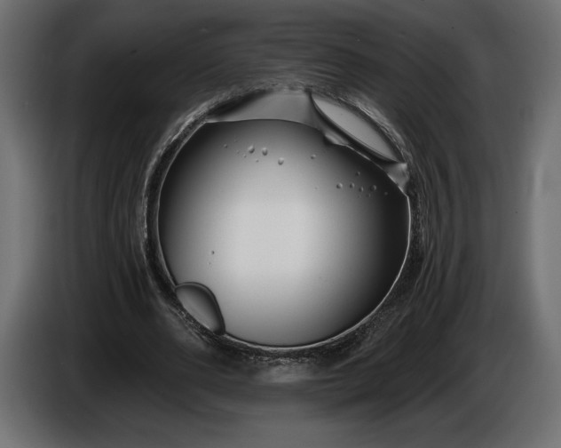 X0000086300486200704131613