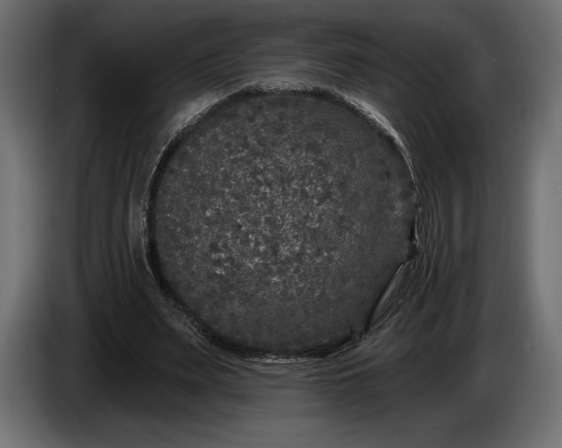 X0000086300487200704131613