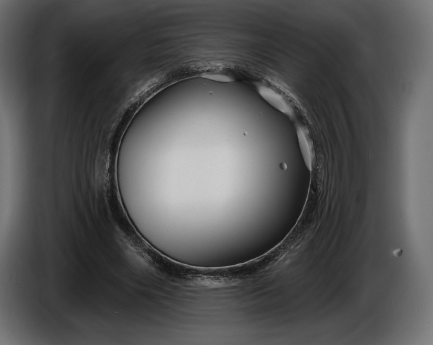 X0000086300490200704131613