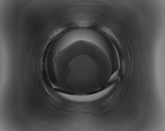 X0000086300492200704131612