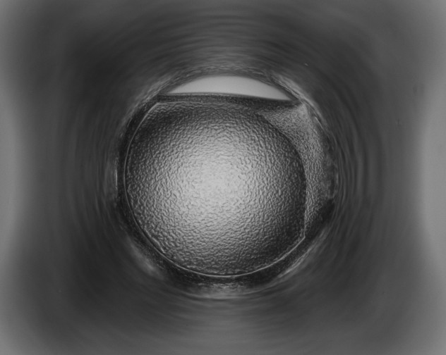 X0000086300493200704131612