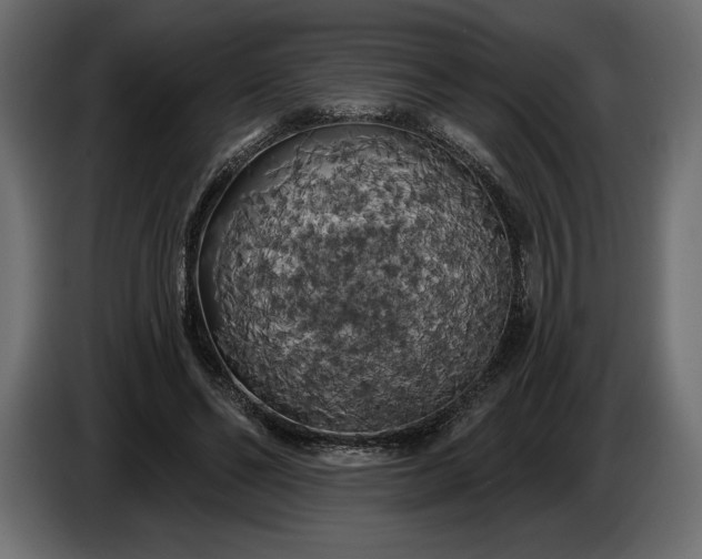 X0000086300494200704131612