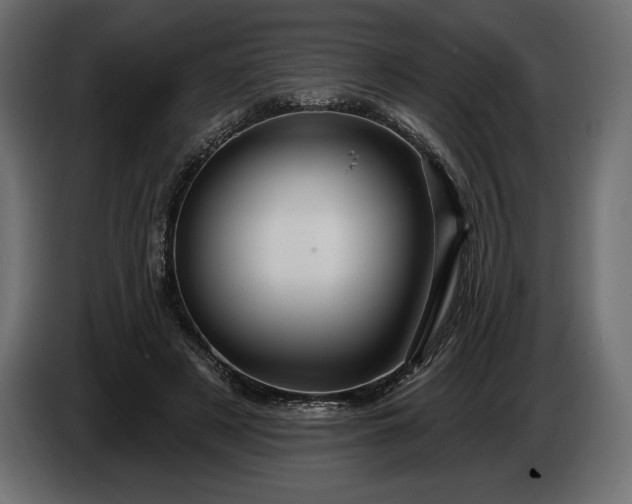 X0000086300497200704131612