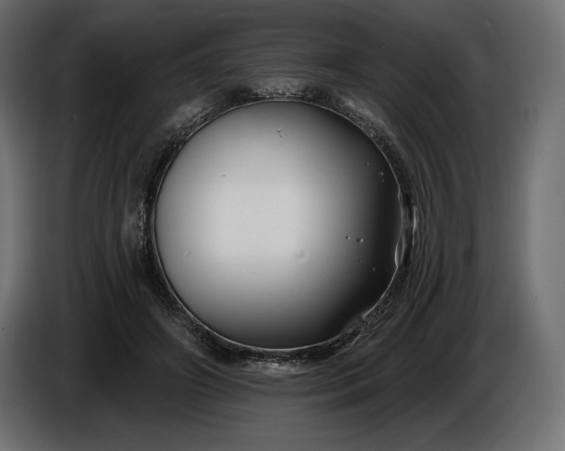 X0000086300498200704131612