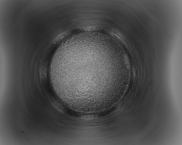 X0000086300499200704131612