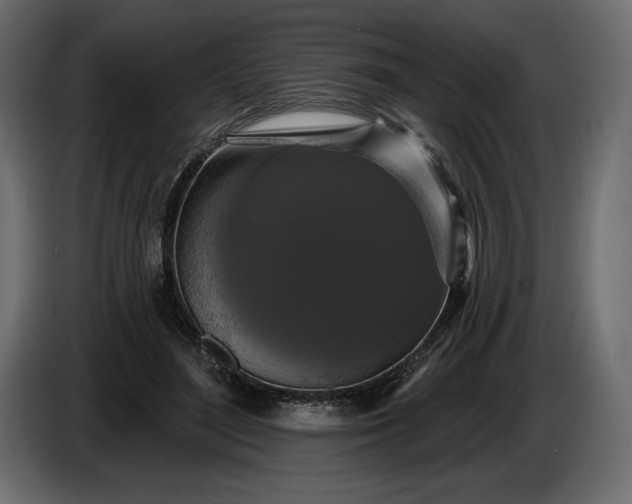 X0000086300500200704131612