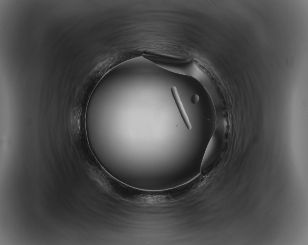 X0000086300501200704131612