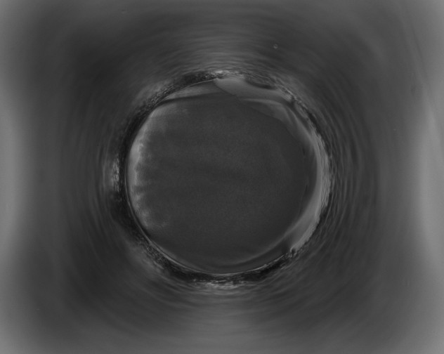 X0000086300502200704131612