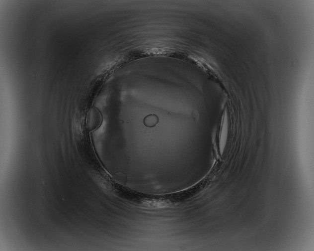 X0000086300503200704131612