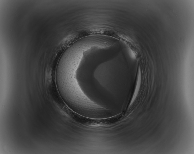 X0000086300504200704131612