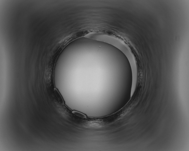 X0000086300505200704131612